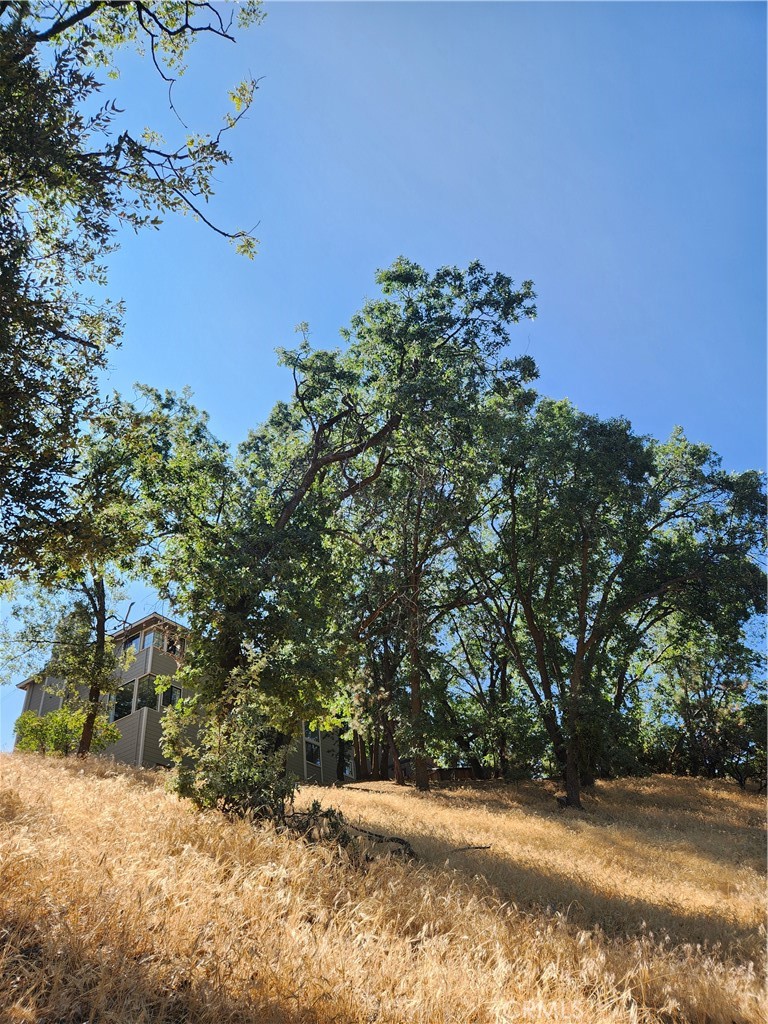 1563 Rock Ridge Drive Property Photo 10