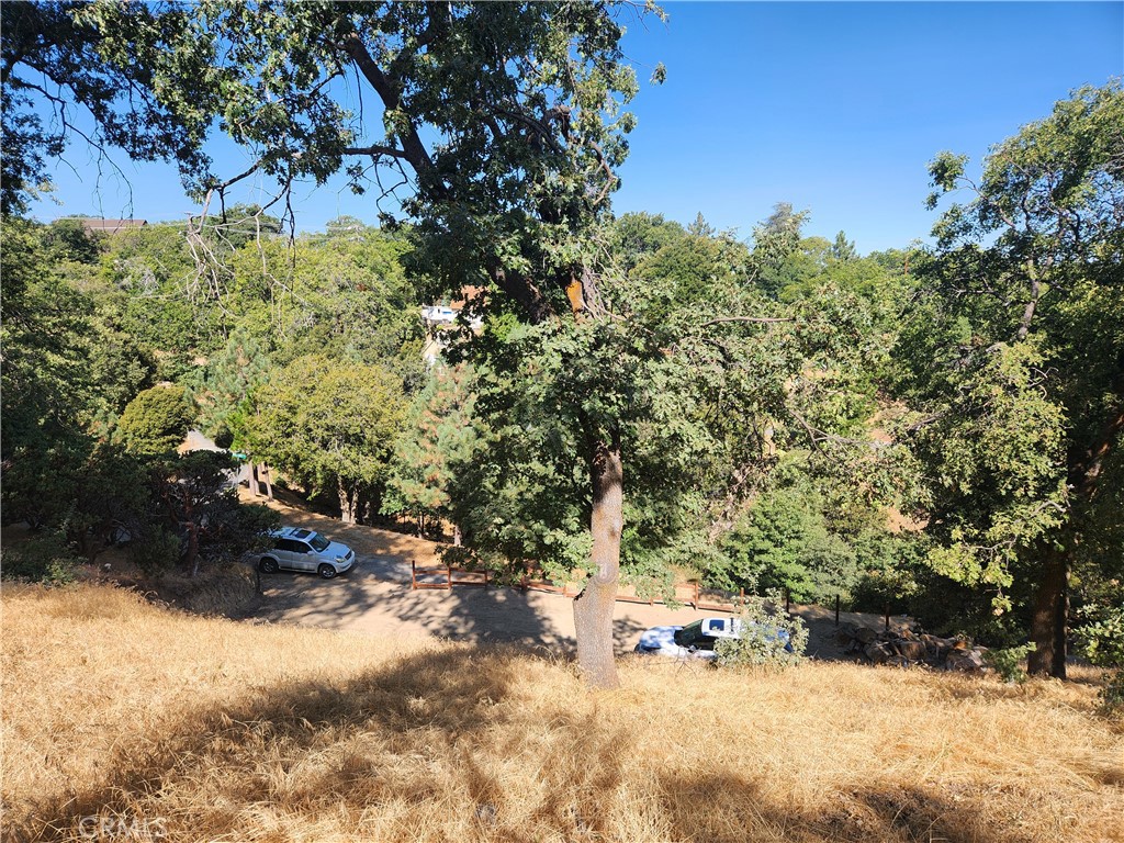 1563 Rock Ridge Drive Property Photo 11