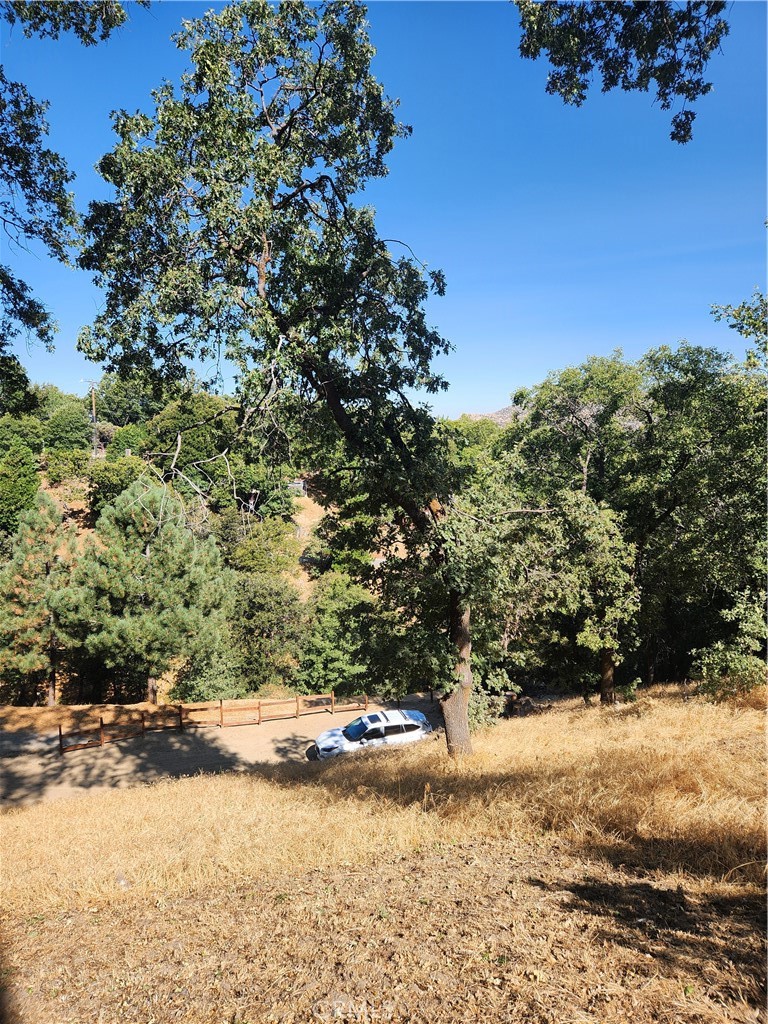 1563 Rock Ridge Drive Property Photo 13