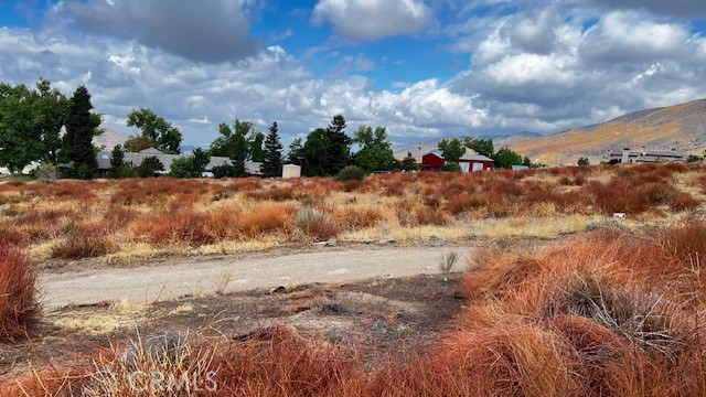 0 Holly Ave Property Photo 30