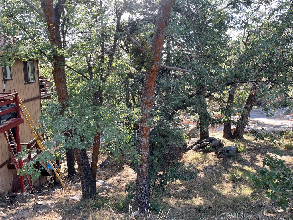 40 Lot 40 Music Camp Road Property Photo 1