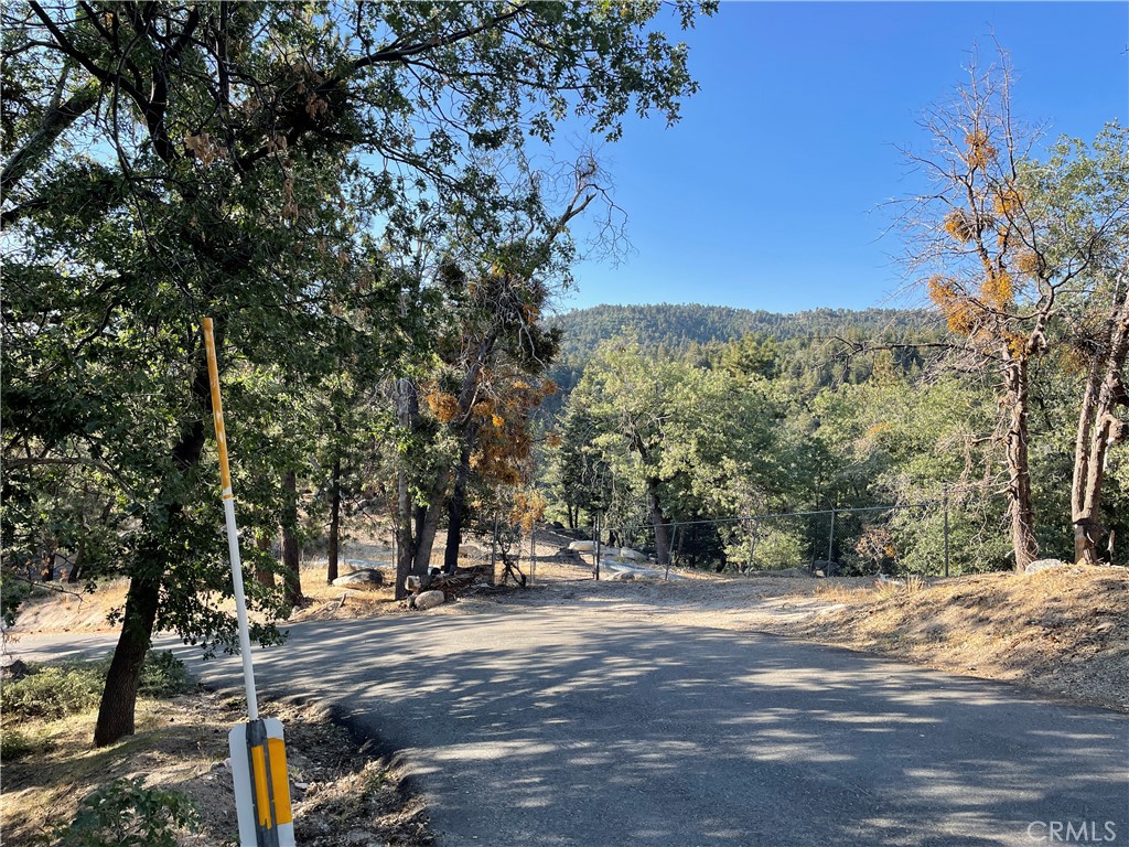 40 Lot 40 Music Camp Road Property Photo 2