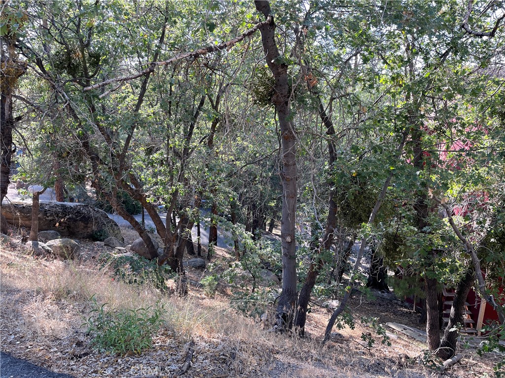 24 Lot 24 Conway Drive Property Photo
