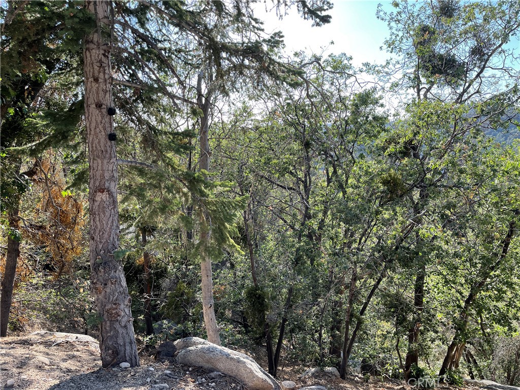 23 Lot 23 Music Camp Road Property Photo