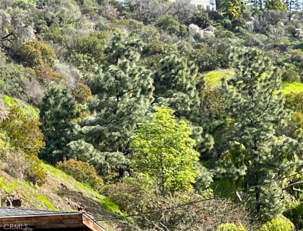 0 Off Beverly Glen Boulevard Property Photo