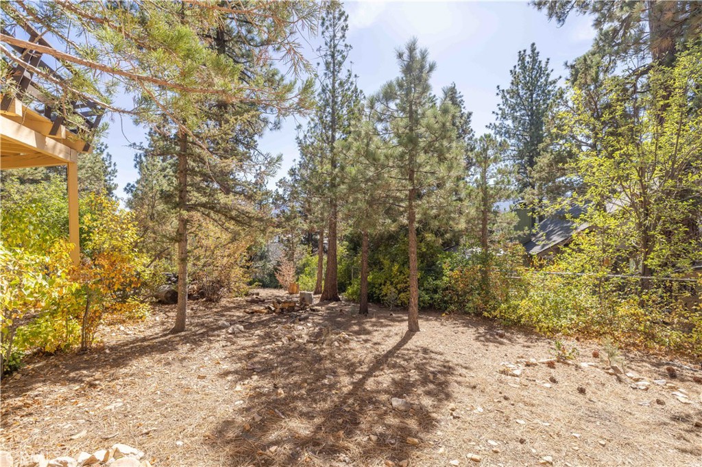1006 Feather Mountain Dr Property Photo 20