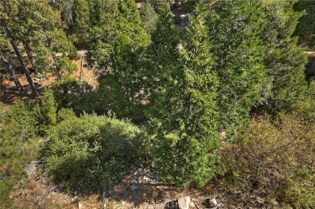 1285 N State Highway 173 Property Photo 27