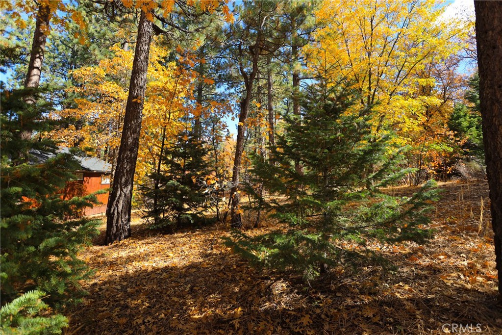 0 Ford Ln Property Photo 3
