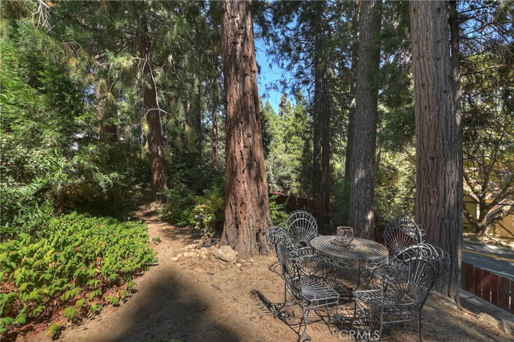 22911 Crest Forest Drive Property Photo 35