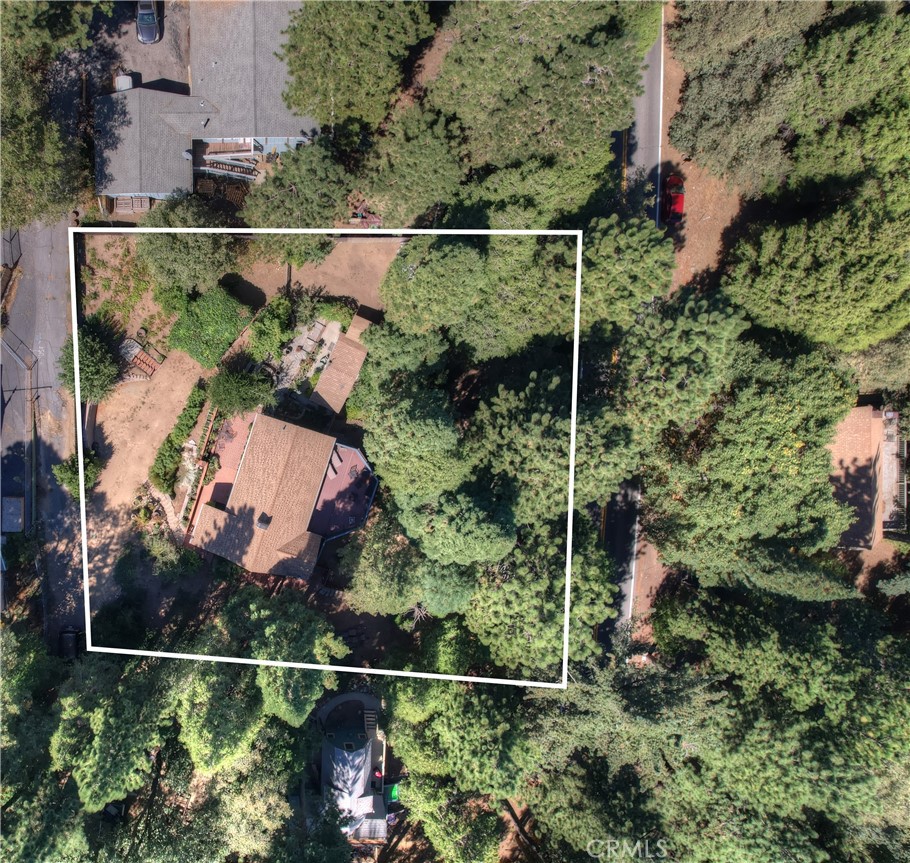 22911 Crest Forest Drive Property Photo 39