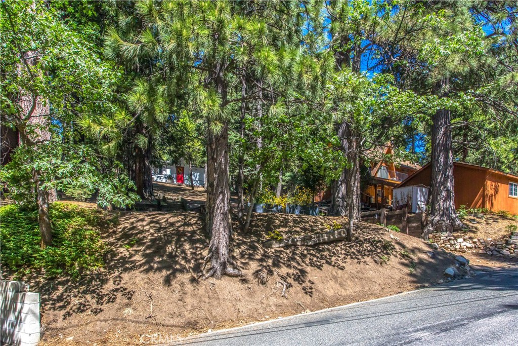 2212 Spring Oak Drive Property Photo 3