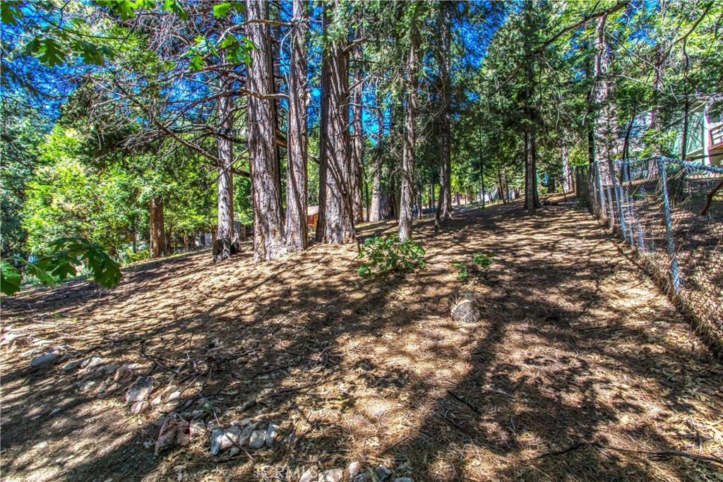 2212 Spring Oak Drive Property Photo 31