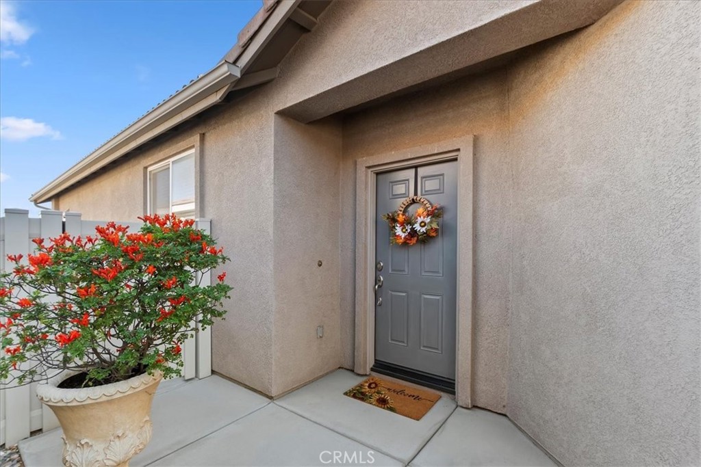 310 Shining Rock Property Photo 4