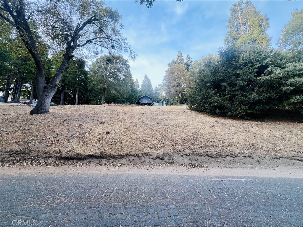 0 Mojave River Road Property Photo 1