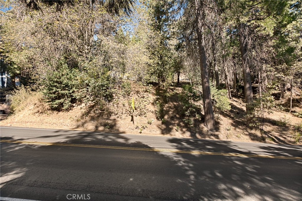 0 Hwy 189 Property Photo 5