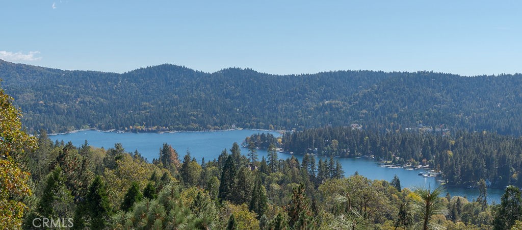 27721 Caribou Drive Property Photo 10