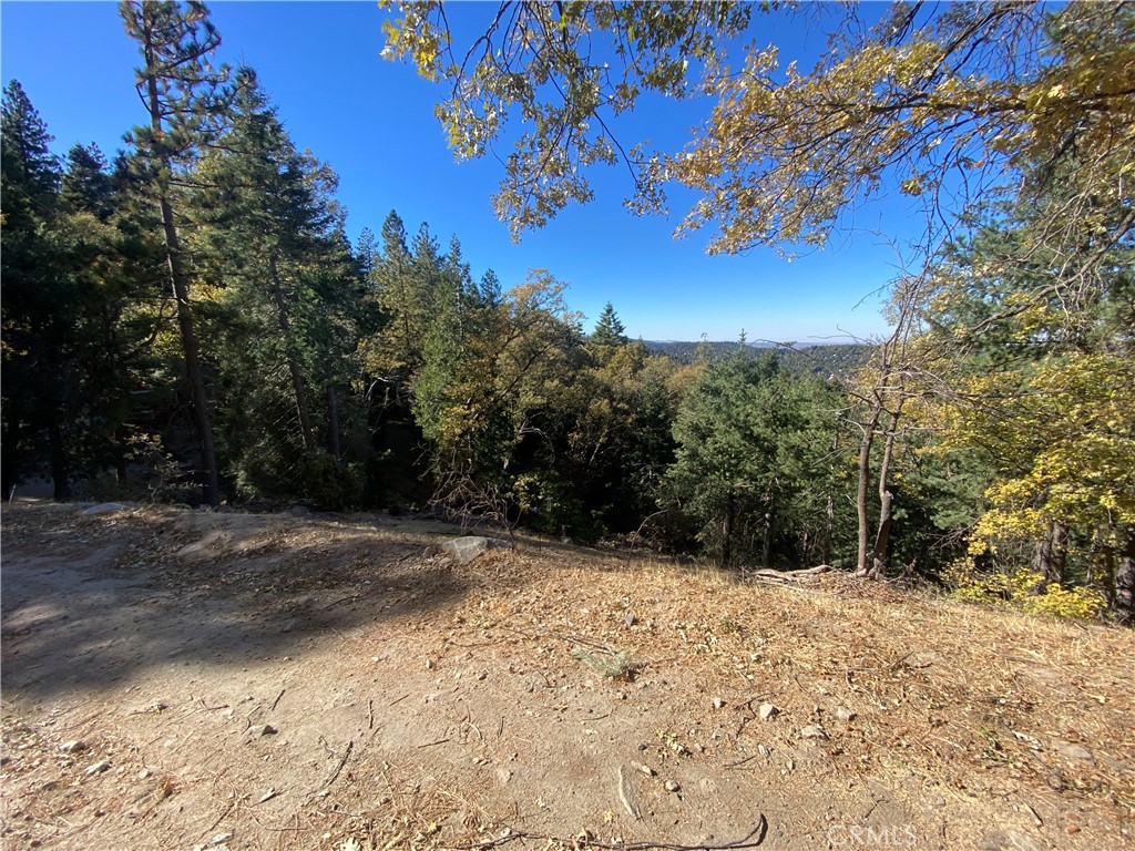 24989 Highland Drive Property Photo 2