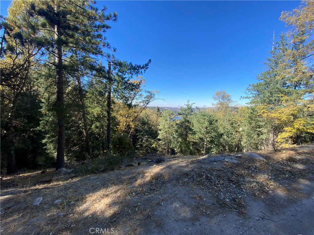24989 Highland Drive Property Photo 4