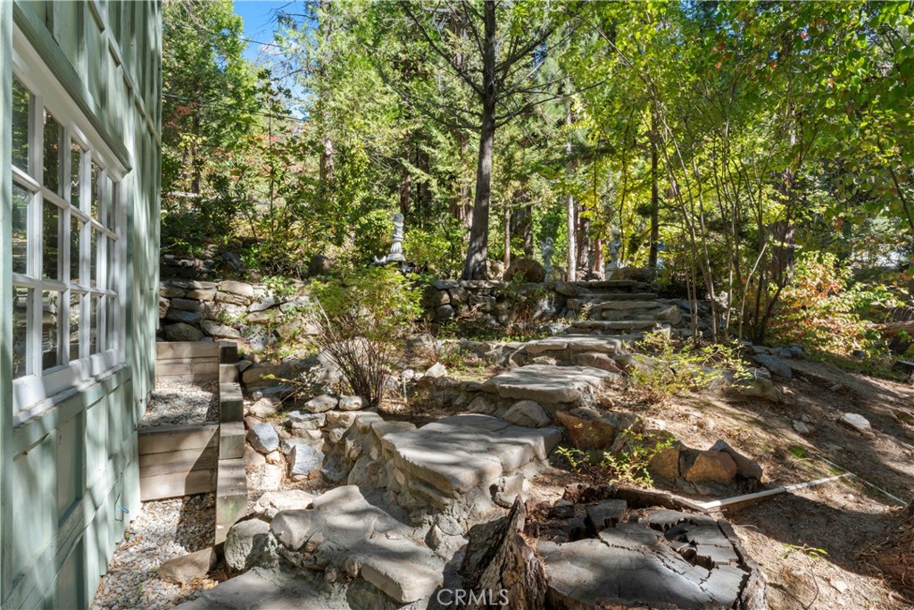 27255 Little Bear Road Property Photo 9