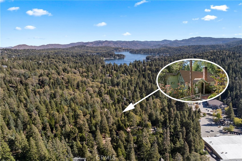 27255 Little Bear Road Property Photo 22