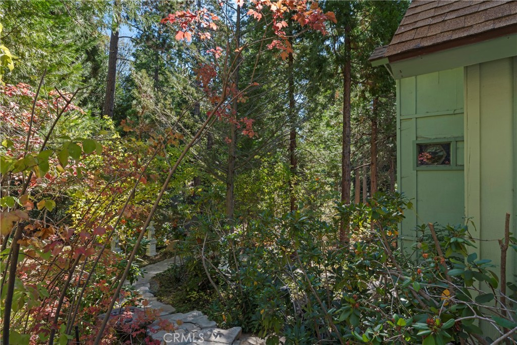 27255 Little Bear Road Property Photo 27