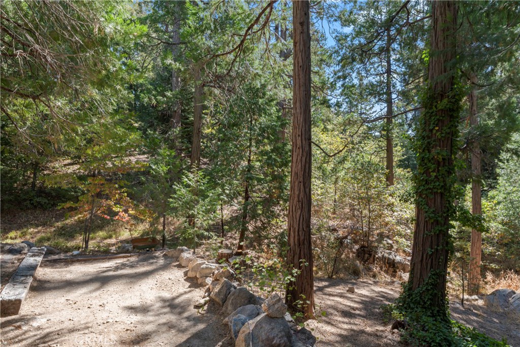 27255 Little Bear Road Property Photo 31