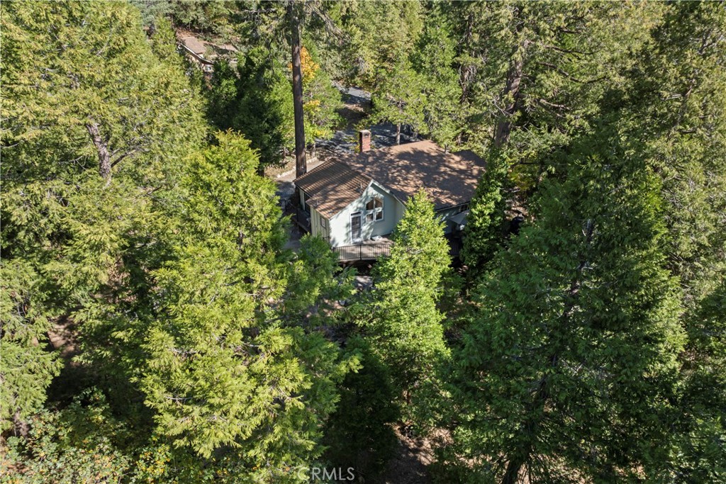 27255 Little Bear Road Property Photo 32
