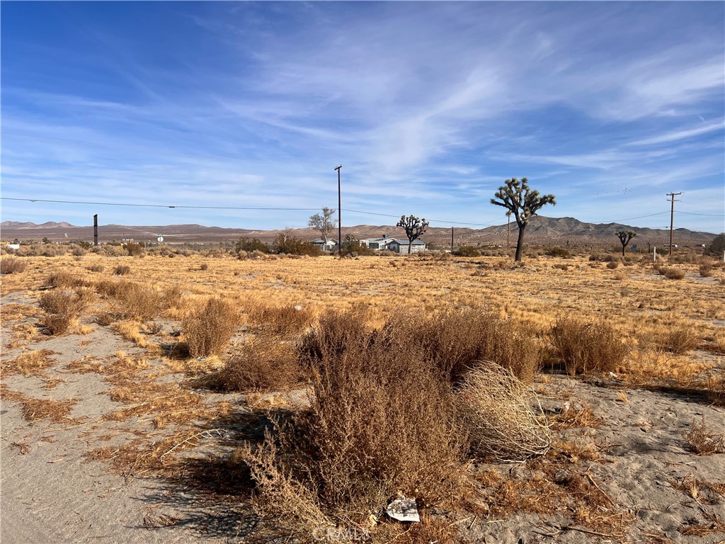 5155 El Mirage Road Property Photo 7