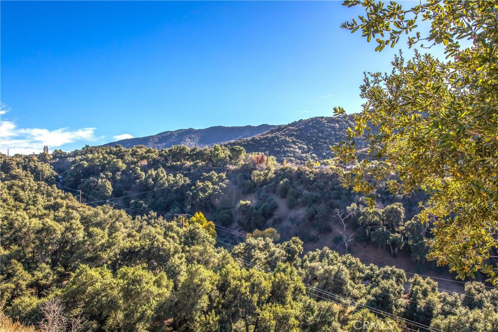 37095 Oak View Road Property Photo 60