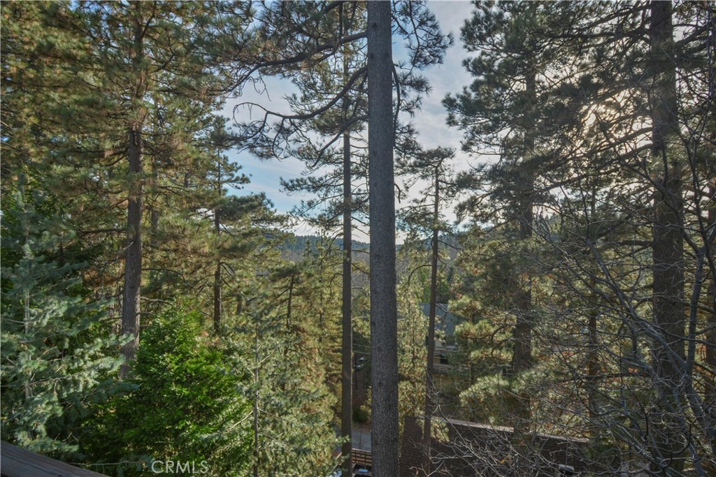 173 Grizzly Road Property Photo 20