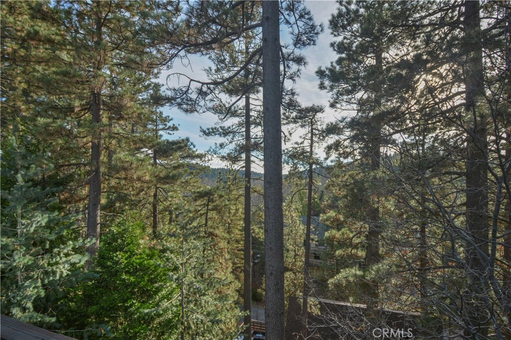 173 Grizzly Road Property Photo 23