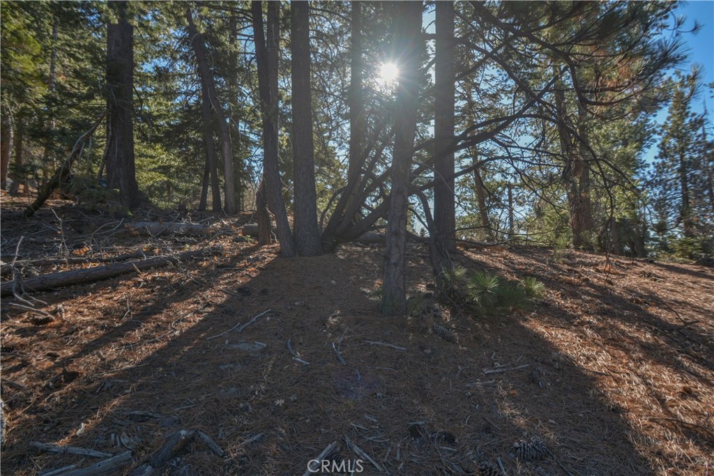 0 Cobblestone Lane Property Photo 8