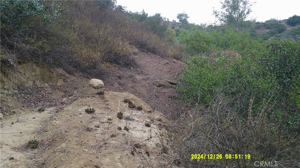 16798 Hillside Drive Property Photo 2