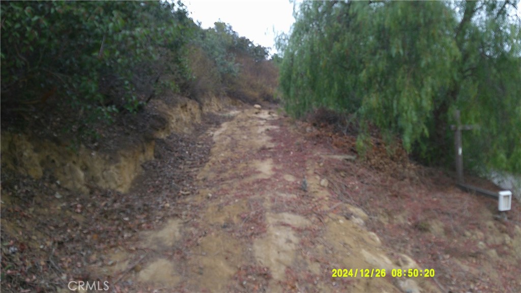 16798 Hillside Drive Property Photo 4