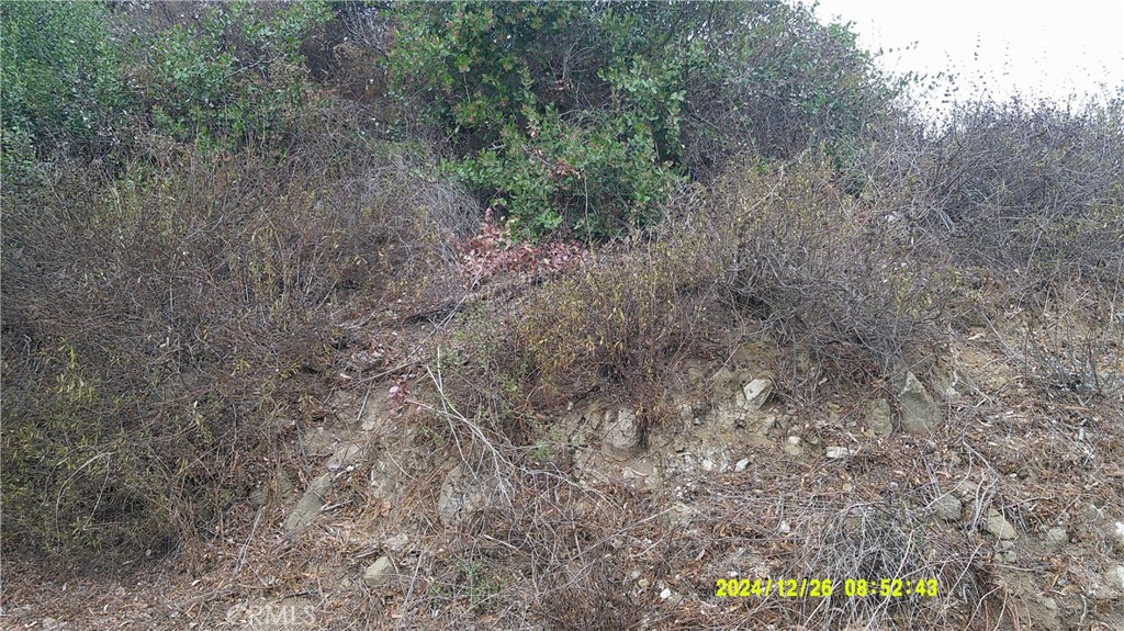 16798 Hillside Drive Property Photo 9