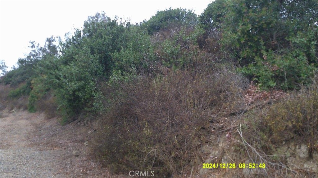 16798 Hillside Drive Property Photo 10
