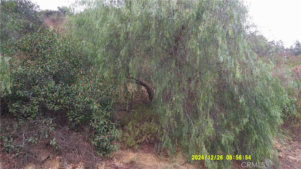16798 Hillside Drive Property Photo 12