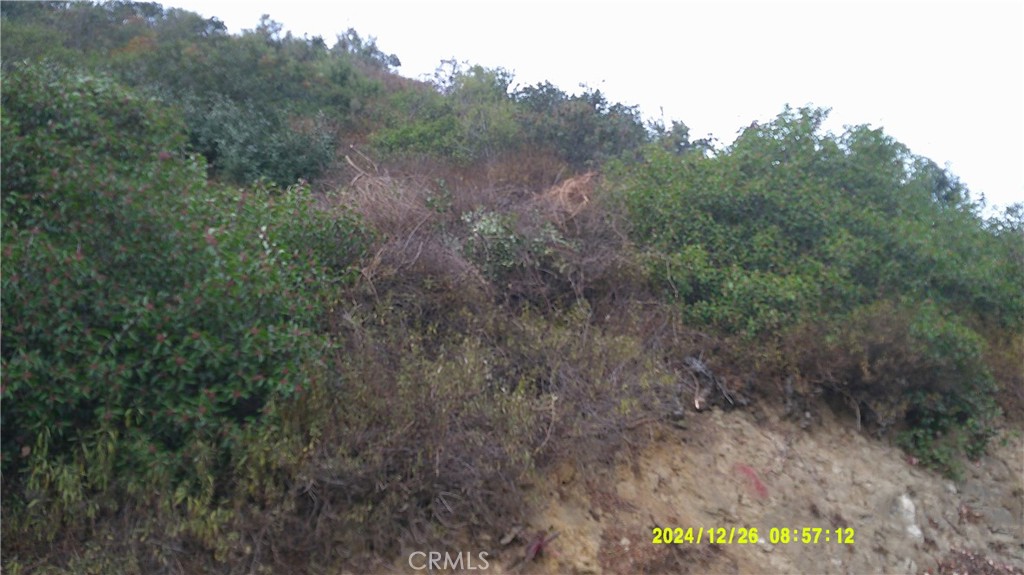 16798 Hillside Drive Property Photo 13