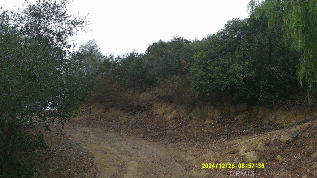 16798 Hillside Drive Property Photo 14