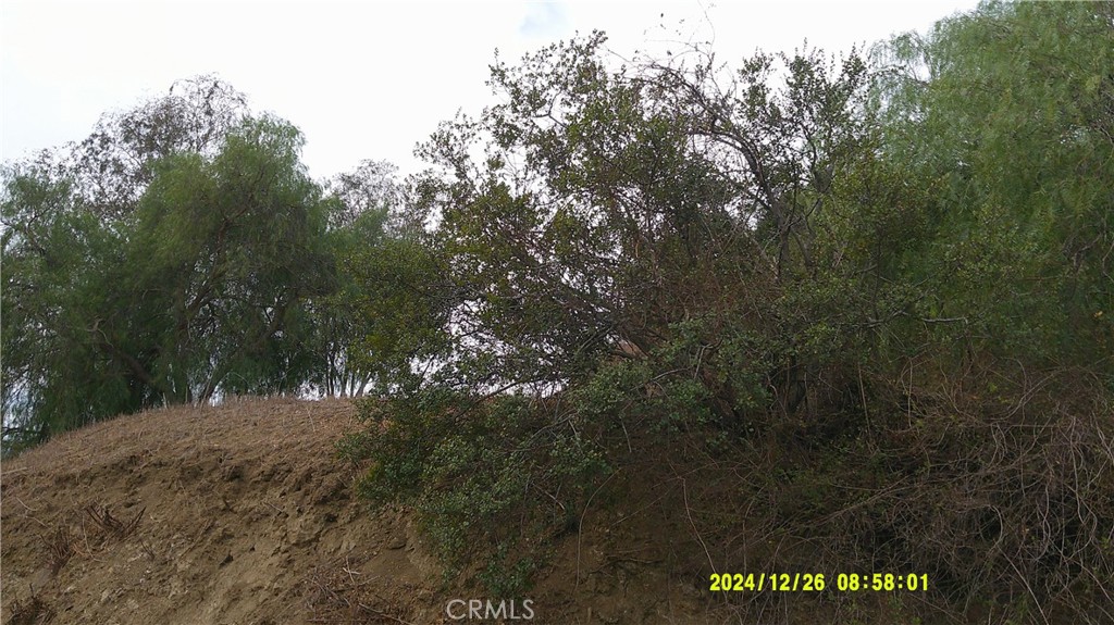 16798 Hillside Drive Property Photo 15