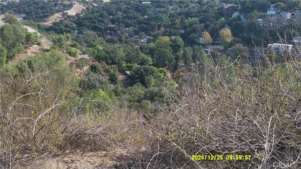 16798 Hillside Drive Property Photo 19