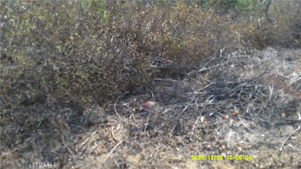 16798 Hillside Drive Property Photo 20