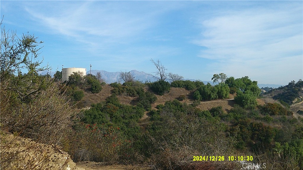 16798 Hillside Drive Property Photo 22