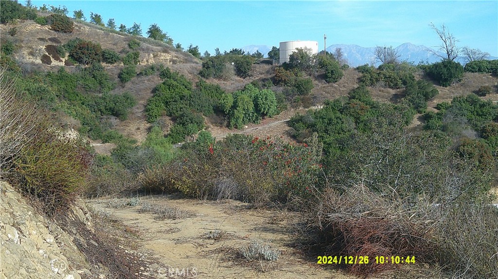 16798 Hillside Drive Property Photo 23