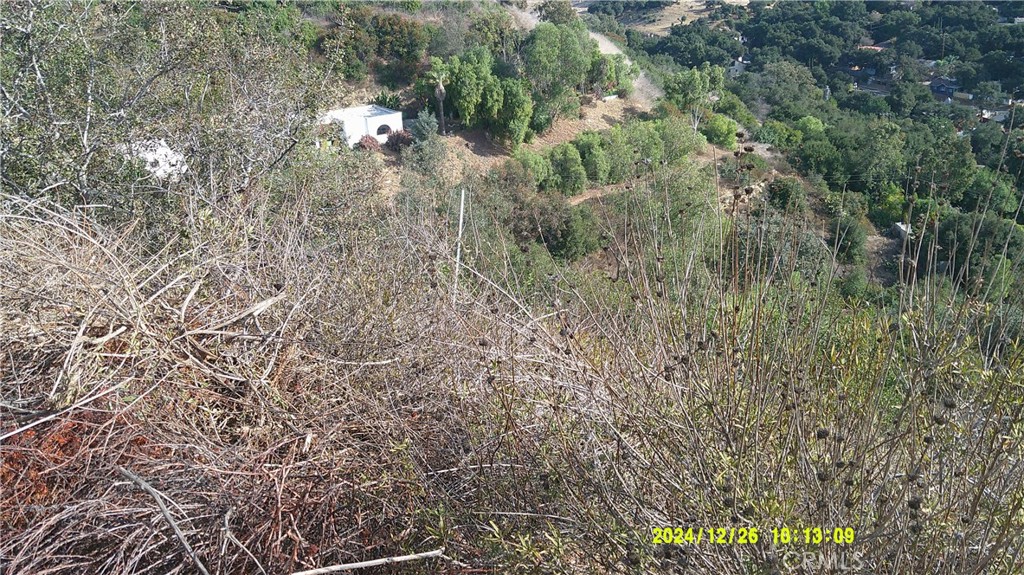 16798 Hillside Drive Property Photo 26
