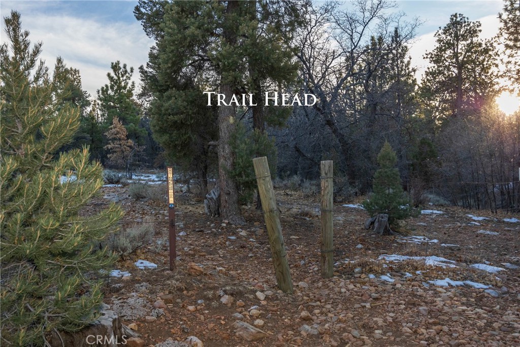882 Pine Lane Property Photo 6