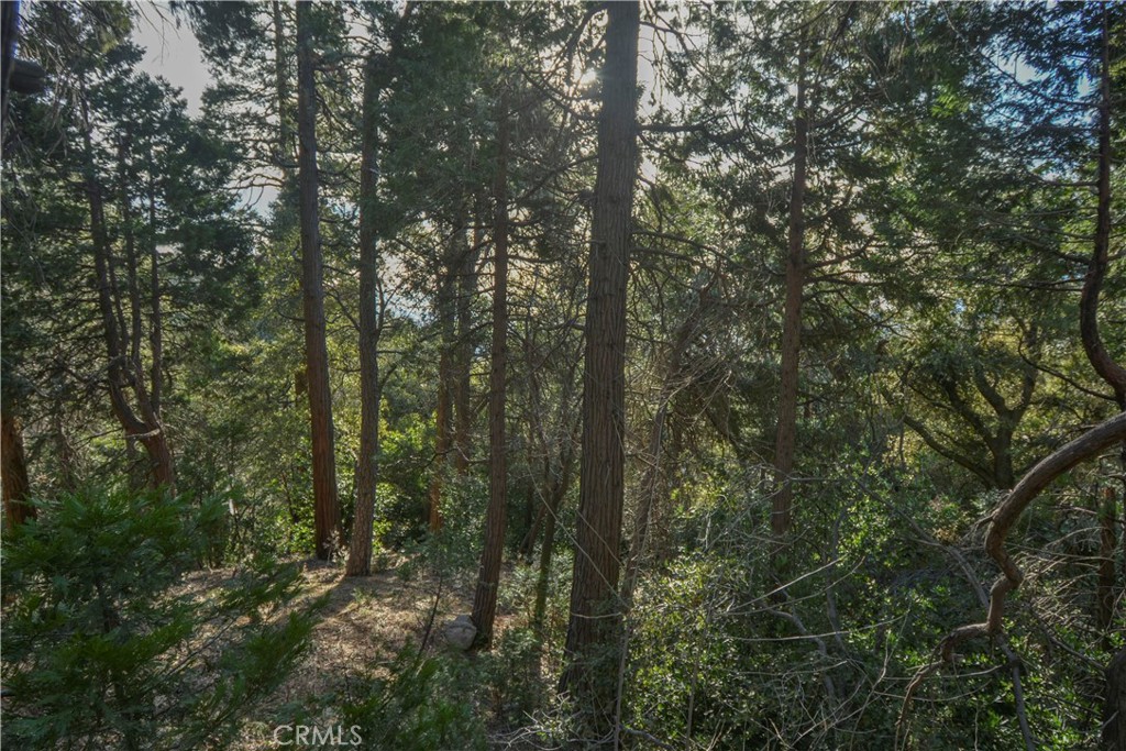 1003 Toll House Property Photo 15