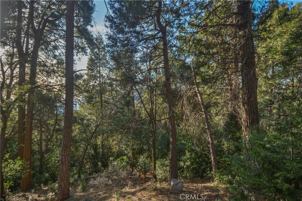 1003 Toll House Property Photo 16