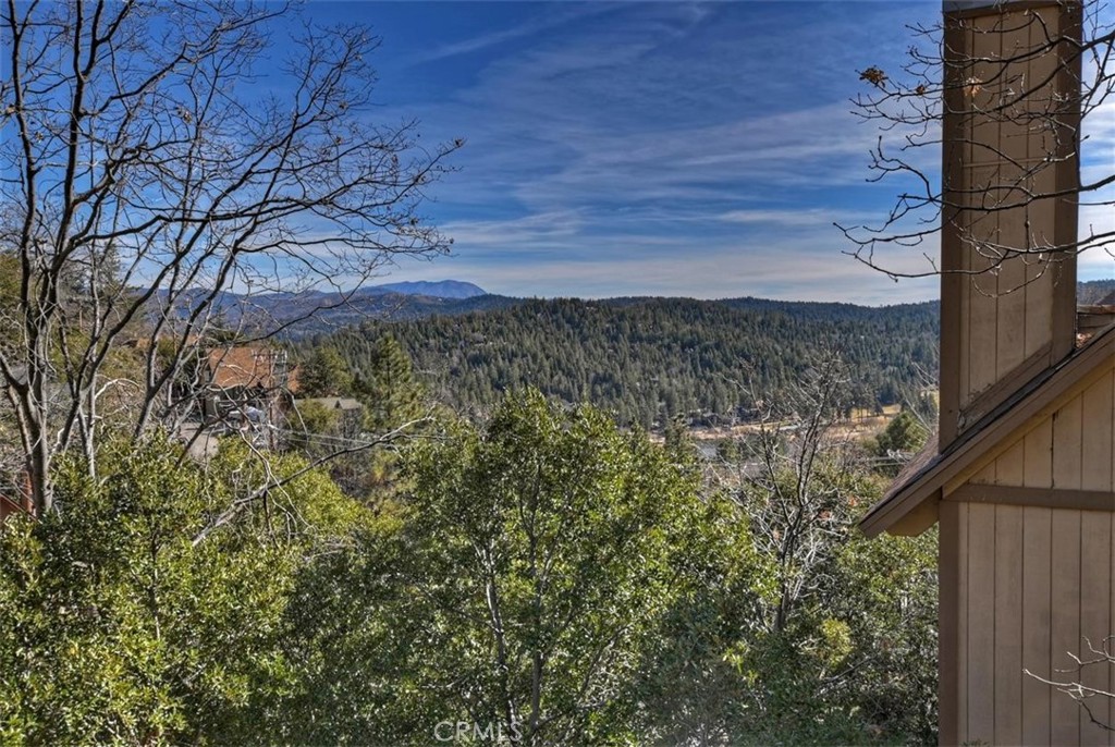 26561 Amador Lane Property Photo 40