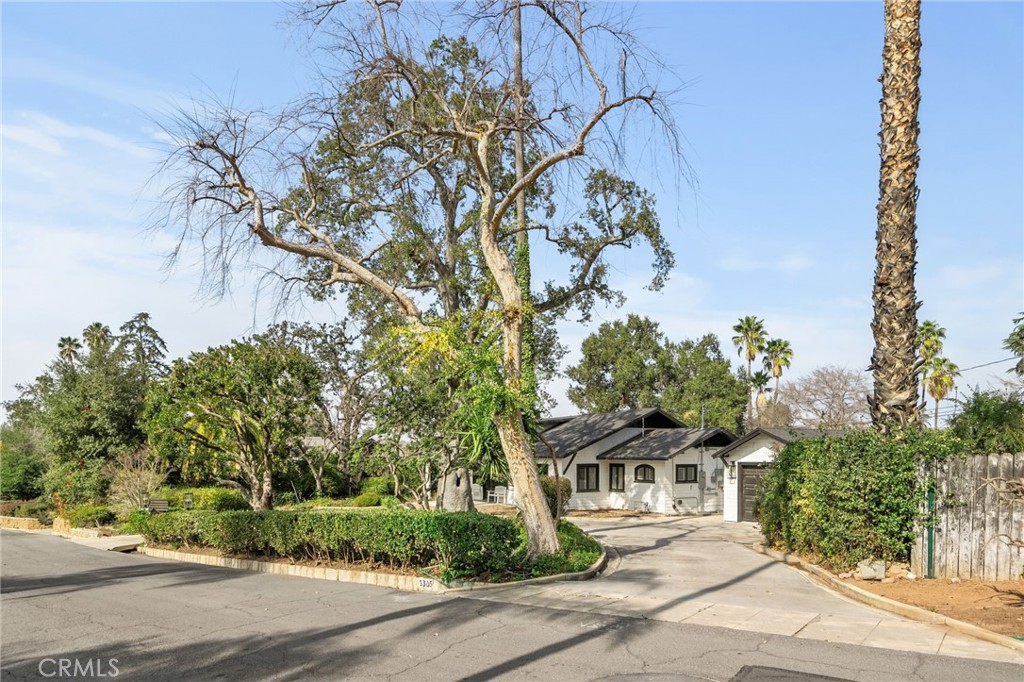 1365 Knoll Road Property Photo 4